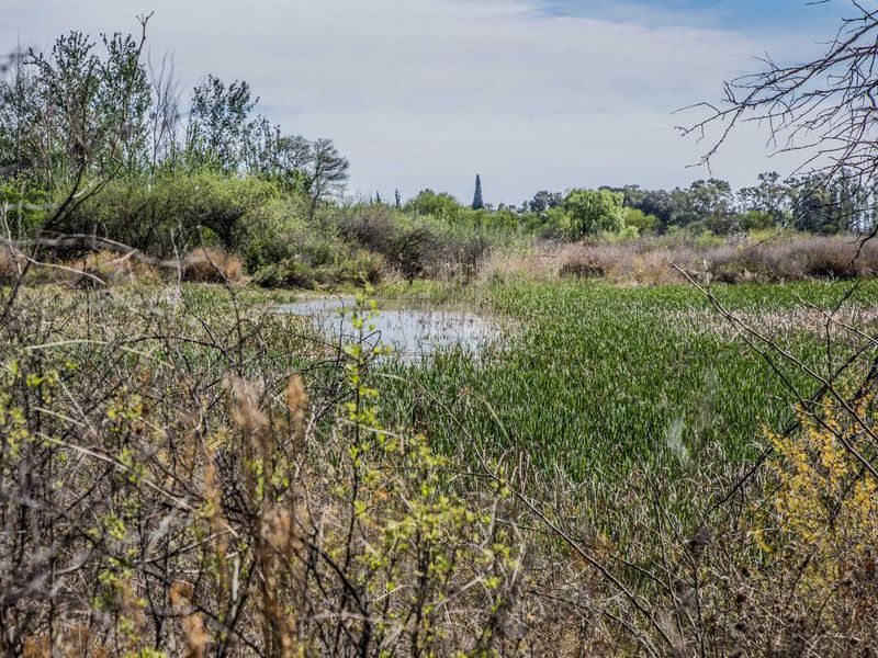 Vacant Land with Dam Views – Weltevrede Dam, Koppies - Photo 6