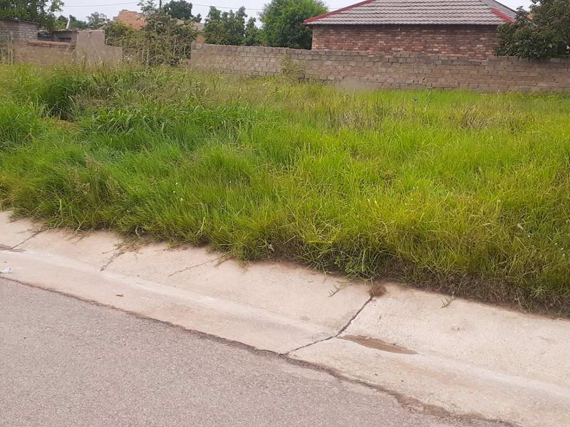 HUGE VACANT LAND FOR SALE - Photo 5