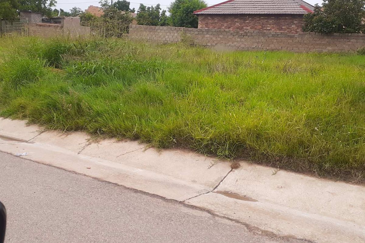 HUGE VACANT LAND FOR SALE - Photo 5