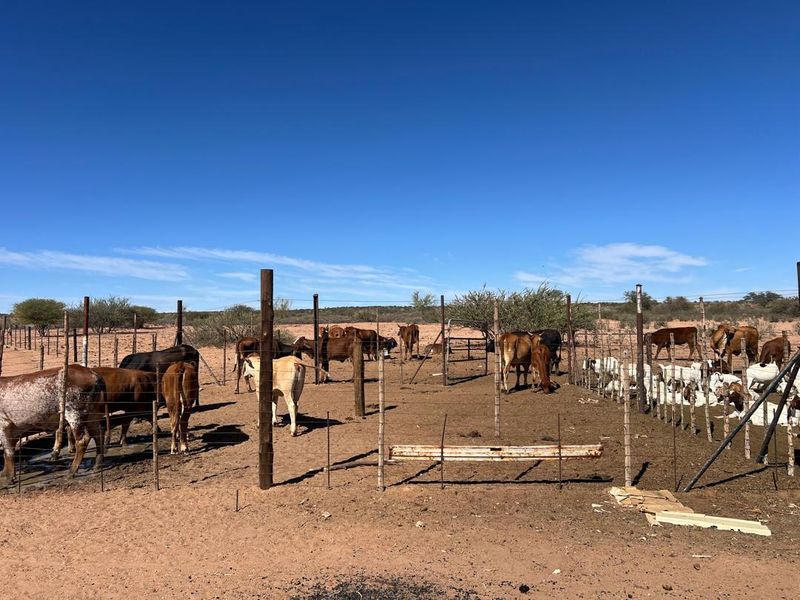 A Lifestyle Investment in the Heart of Nature - Photo 3