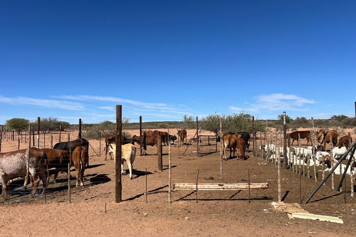 A Lifestyle Investment in the Heart of Nature - Photo 3