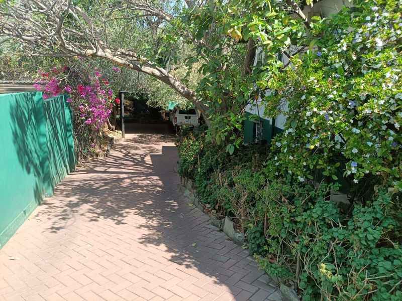 A paved driveway leading towards the property entrance, flanked by established garden beds and a boundary fence.