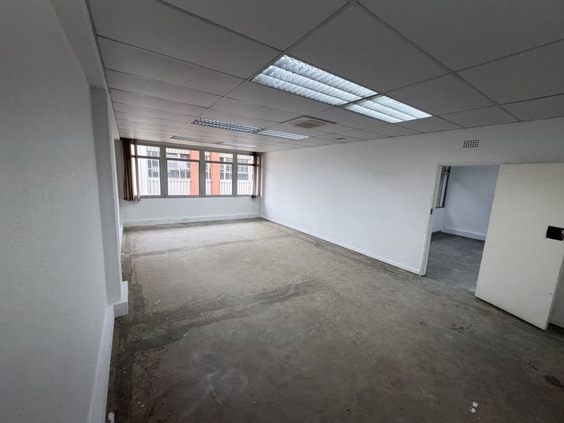 An empty industrial office space featuring a suspended ceiling with recessed lighting, large aluminium windows, and unfinished concrete flooring.