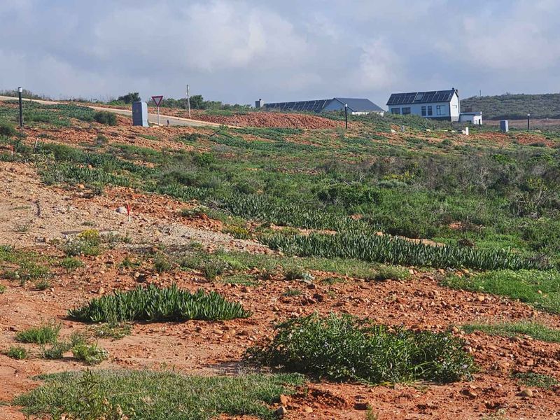 Design your own home on Outeniquasbasch Wildlife estate - Photo 3