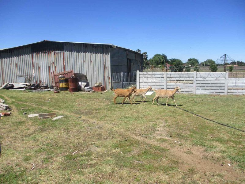 Rear view of the agricultural property featuring a corrugated metal shed, precast concrete boundary wall, and open grassed area.
