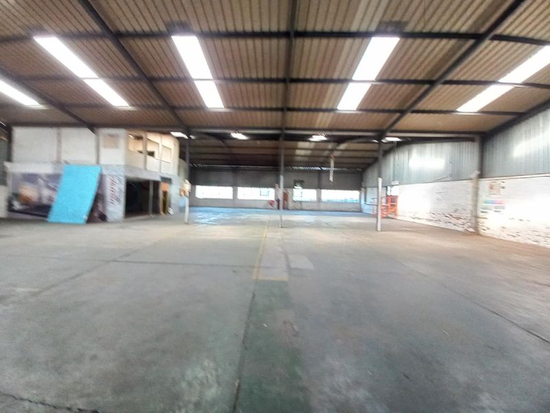 3 018m2 Warehouse To Let in Wadeville - Photo 9