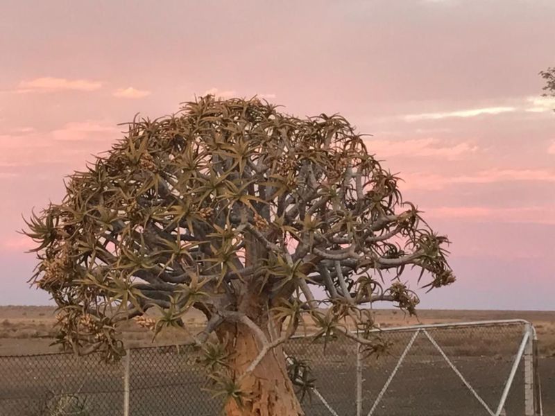 FARM FOR SALE IN KARAS REGION - Photo 3