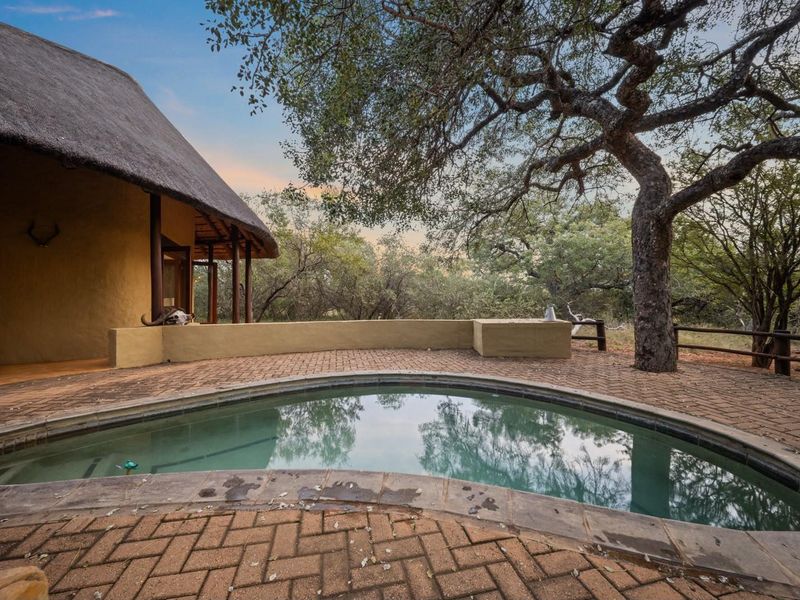 You’ve arrived to the peace and tranquility of the African bush! - Photo 3