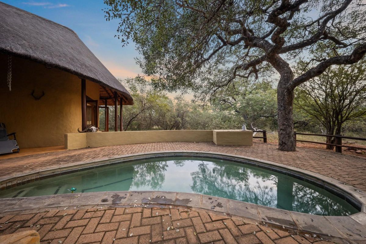 You’ve arrived to the peace and tranquility of the African bush! - Photo 3