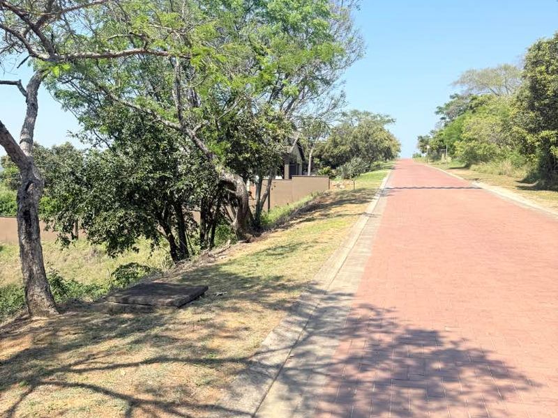 A view of a paved residential street with mature trees and concrete curbing, showing the approach to the property.