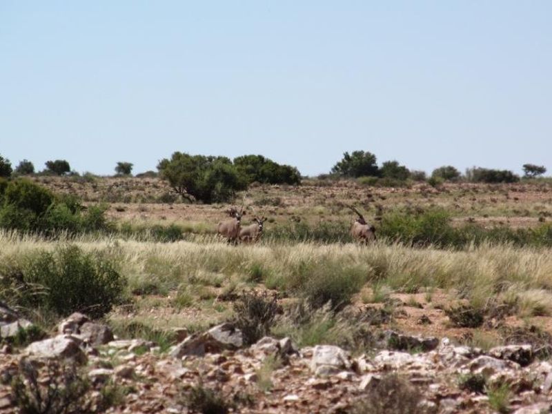 EXQUISITE FARM FOR SALE IN THE SOUTH OF NAMIBIA - Photo 9