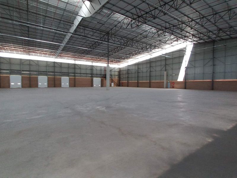 Expansive industrial warehouse space featuring high ceilings, concrete flooring, multiple roller shutter doors, and an integrated fire sprinkler system.