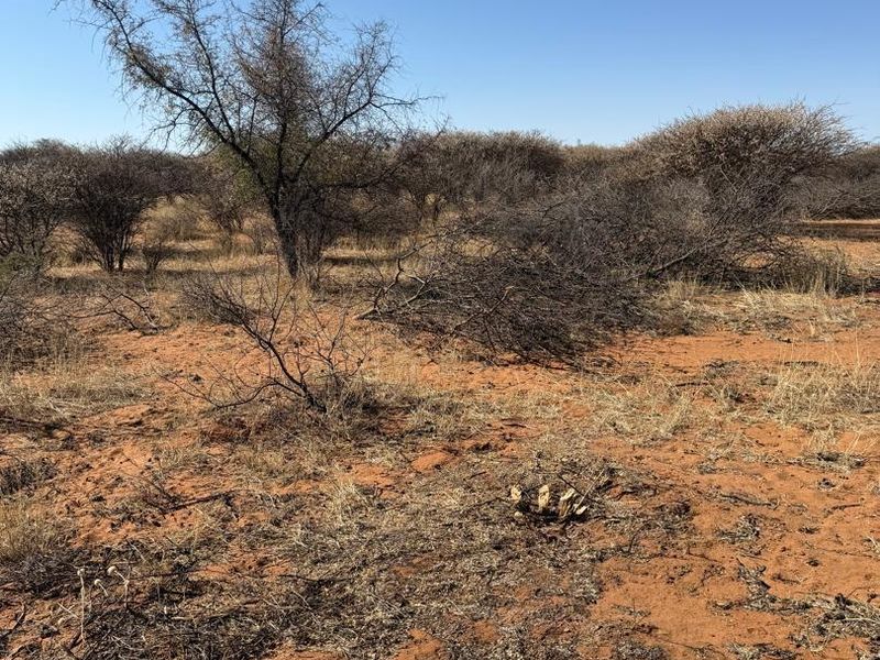 An open view of undeveloped agricultural land featuring native shrubs and dry, sandy terrain under a clear blue sky.