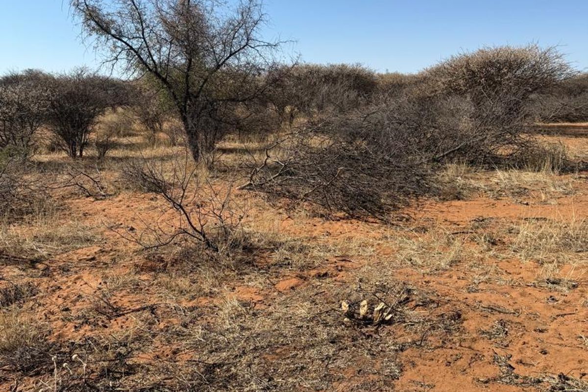 An open view of undeveloped agricultural land featuring native shrubs and dry, sandy terrain under a clear blue sky.