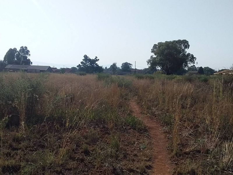A view of an undeveloped residential plot featuring natural vegetation and a dirt path.