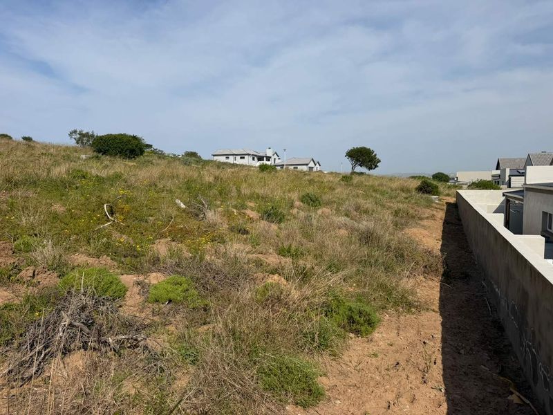 A view of a vacant residential plot featuring natural sloped terrain and a concrete retaining wall along the boundary.