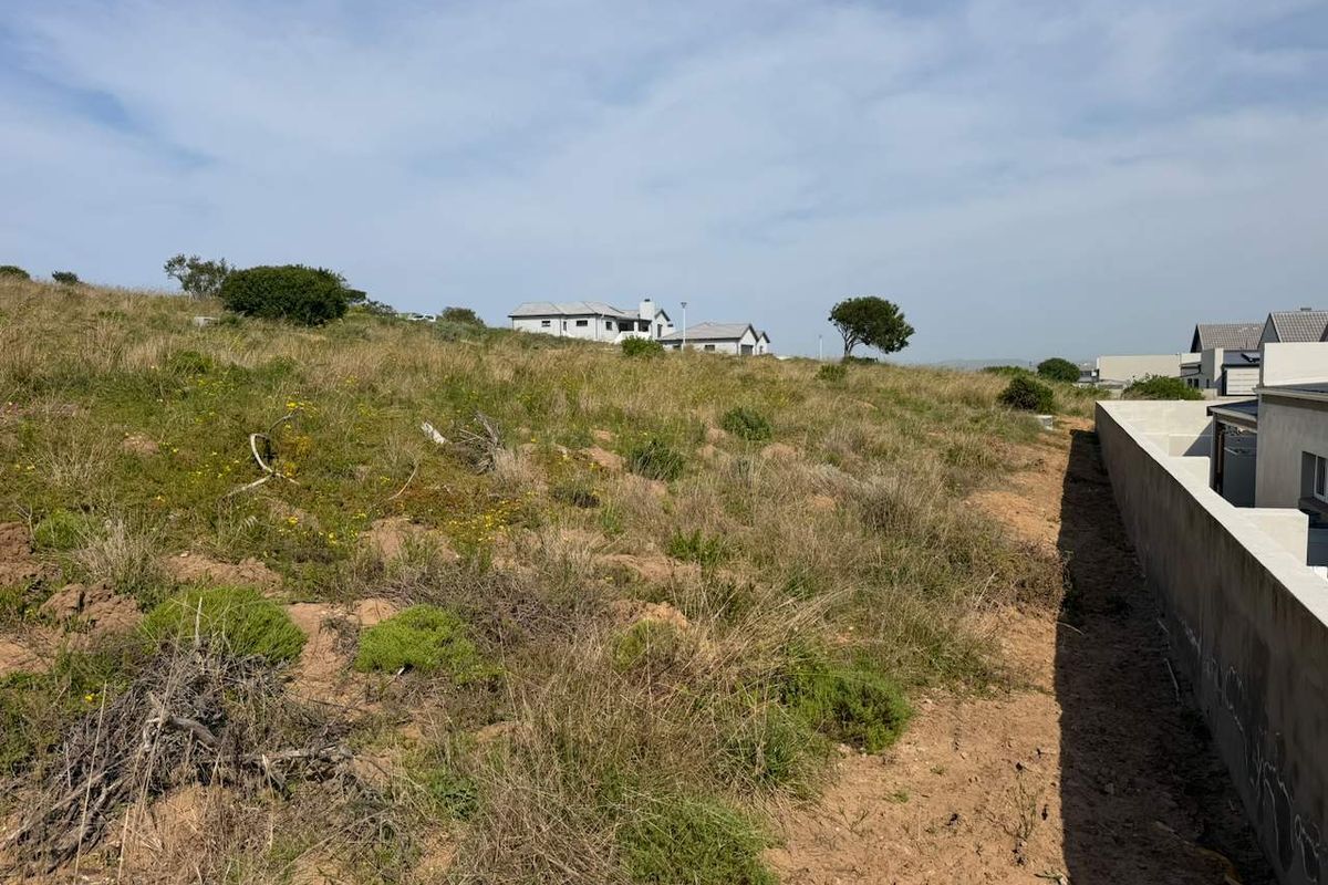 A view of a vacant residential plot featuring natural sloped terrain and a concrete retaining wall along the boundary.