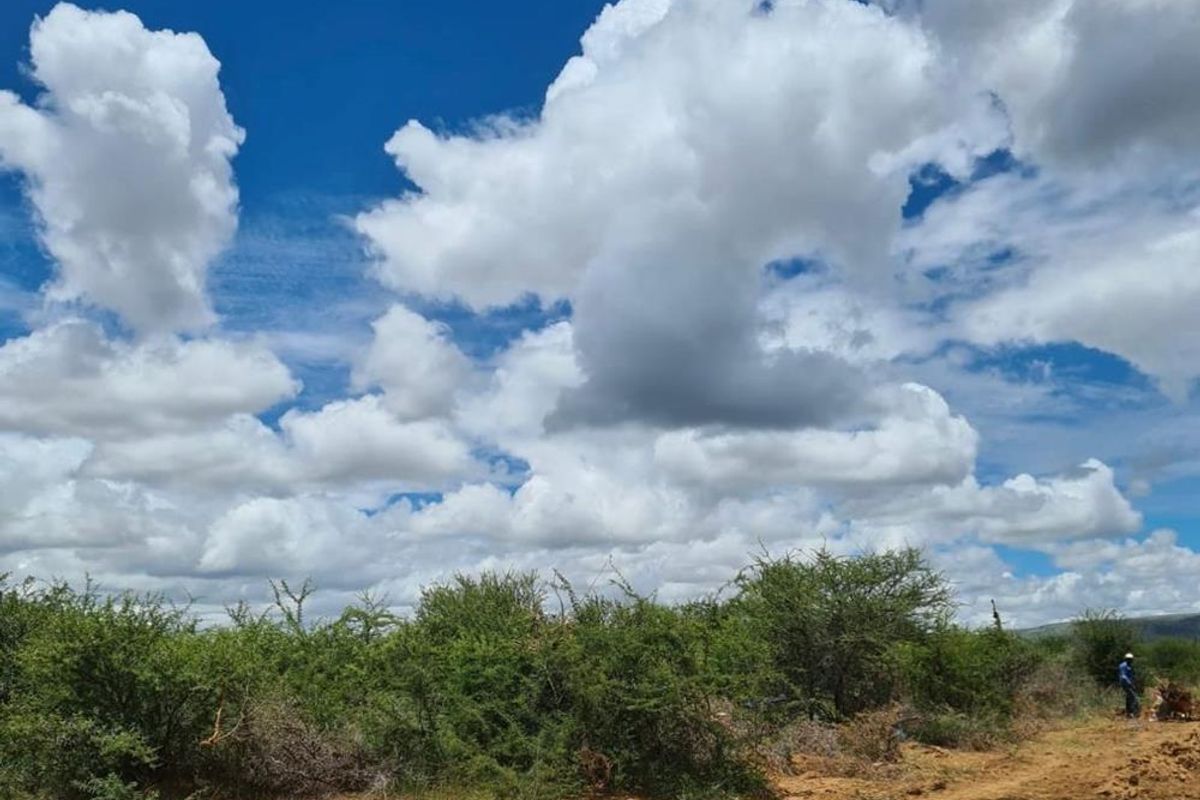 A scenic view of the open farm landscape featuring natural vegetation, open fields, and a bright blue sky with scattered clouds.