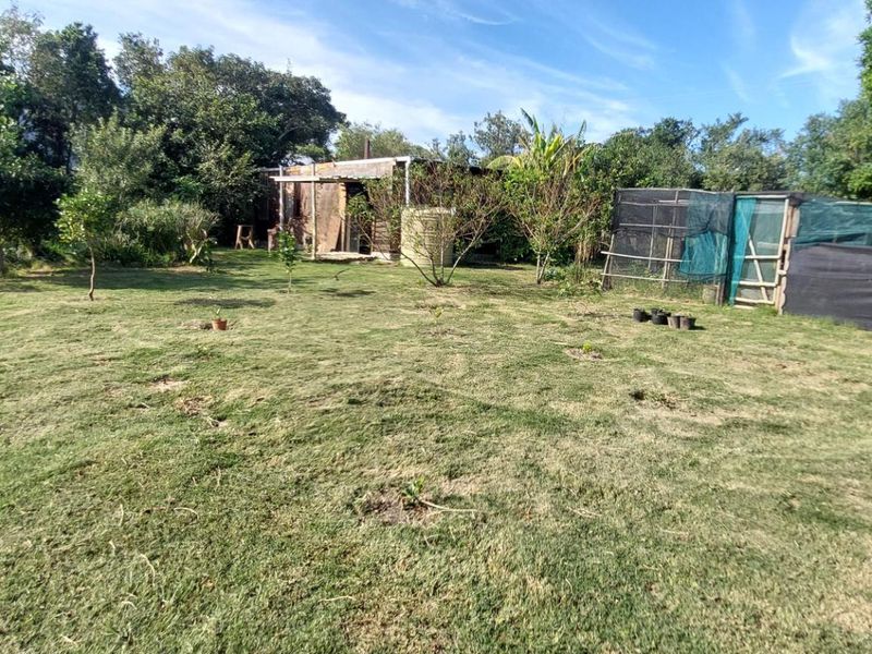 Bathurst Plot with Shed Converted into Cottage - Photo 3