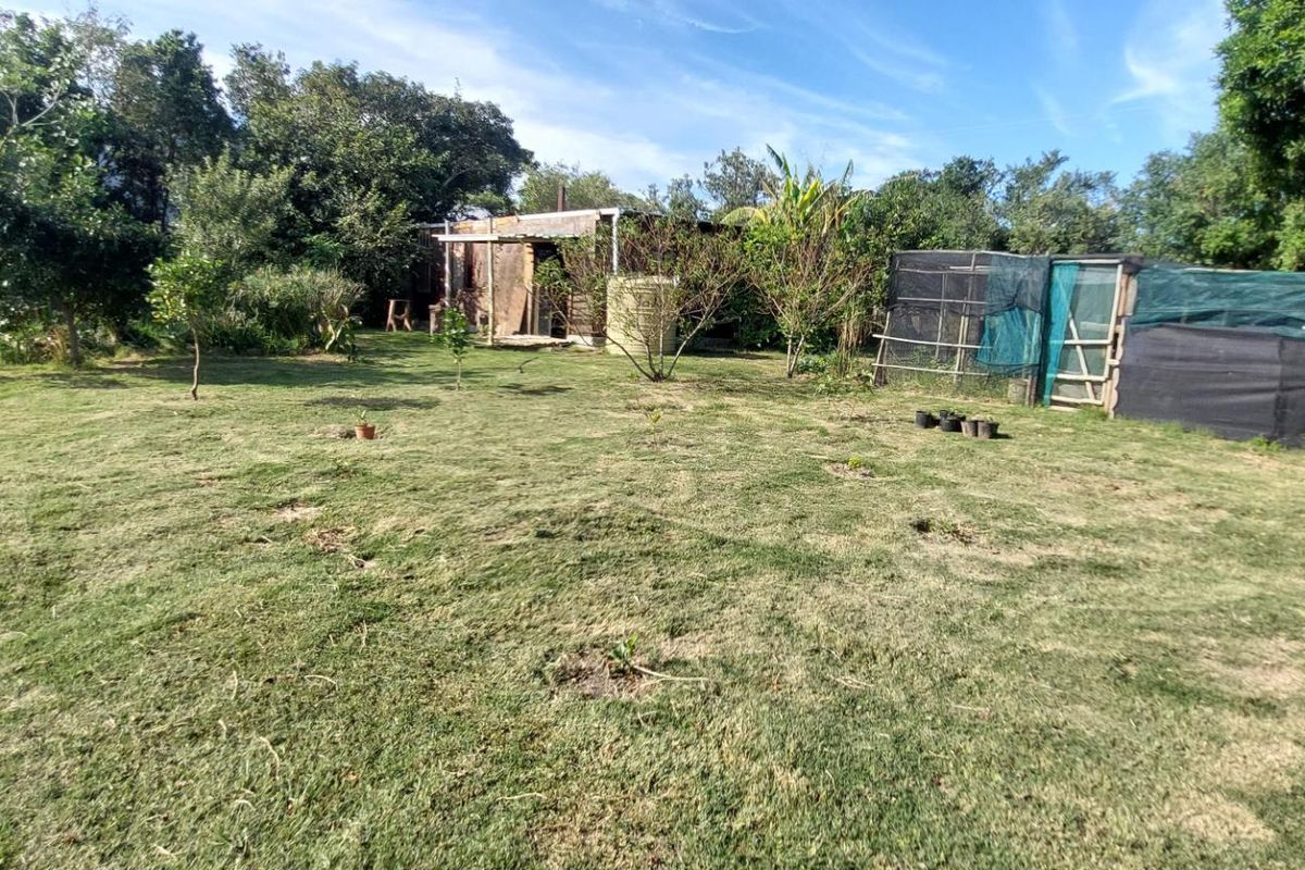 Bathurst Plot with Shed Converted into Cottage - Photo 3