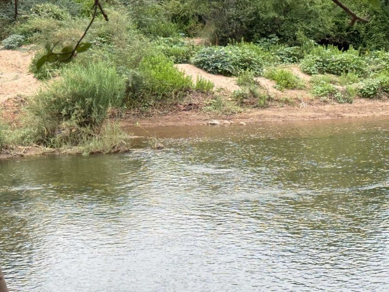 Beautiful stand in Elephant Eco Estate - Photo 10