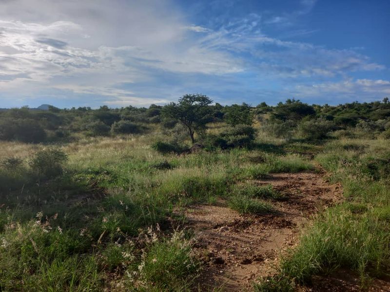 FIRST OF THE GRID MANAGED NATURE ESTATE - NISH LIVING - Photo 2