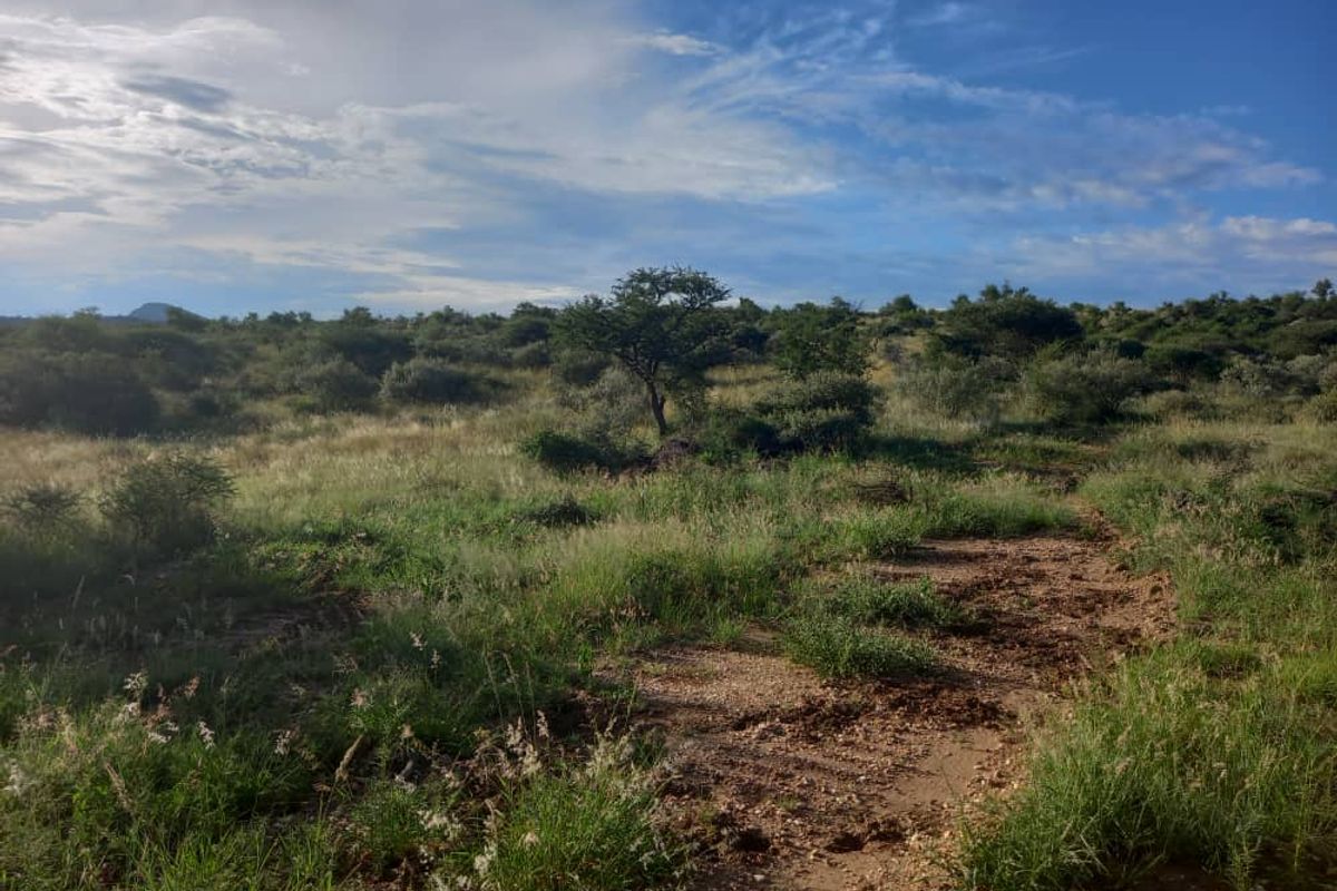 FIRST OF THE GRID MANAGED NATURE ESTATE - NISH LIVING - Photo 2