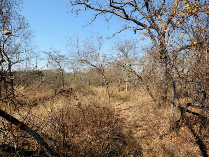 Vacant Land in MODITLO NATURE RESERVE - Photo 4