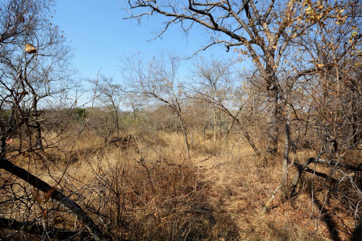 Vacant Land in MODITLO NATURE RESERVE - Photo 4