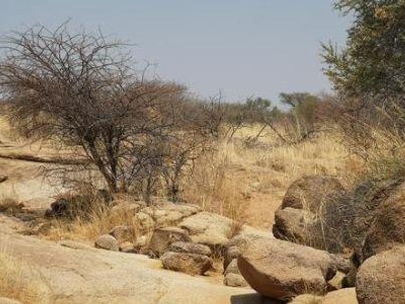 Beautiful Plot available, 15km North of Okahandja - Photo 3