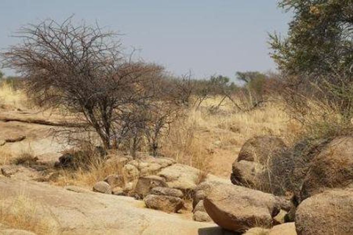 Beautiful Plot available, 15km North of Okahandja - Photo 3
