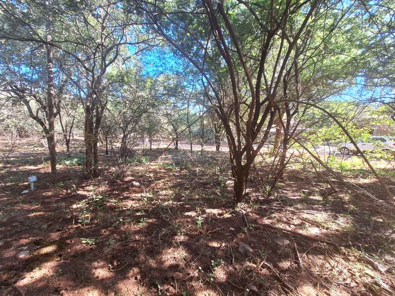 460m2 Stand in Leeupoort - Natures Perfect Canvas - Photo 6