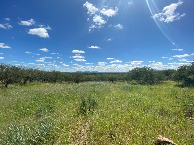 A scenic view of the expansive natural landscape and indigenous vegetation on the small holding, showcasing the open terrain and distant horizon.