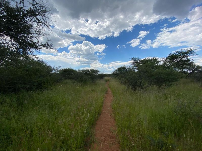 A natural dirt pathway winding through the open veld and indigenous shrubbery on the small holding.