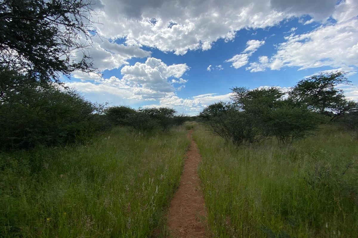 A natural dirt pathway winding through the open veld and indigenous shrubbery on the small holding.