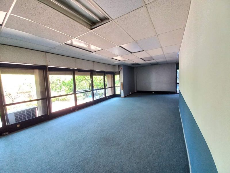 A spacious, empty office area featuring large windows with natural light, blue carpeting, and a suspended drop ceiling.
