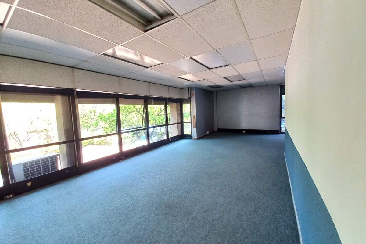 A spacious, empty office area featuring large windows with natural light, blue carpeting, and a suspended drop ceiling.