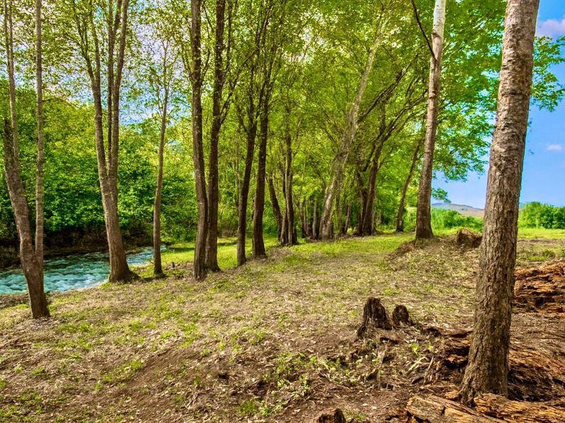 A scenic view of a natural stream flowing through a wooded area on the farm property.