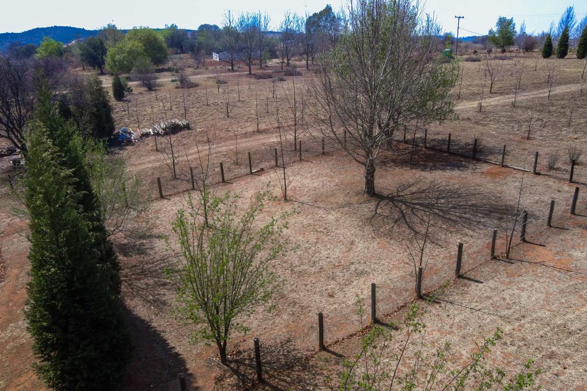 Air B & B For Sale on the Vaal River - Photo 5