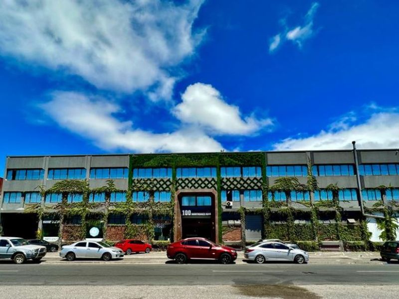 A multi-story mixed-use commercial building facade featuring large windows, climbing greenery, and a prominent central entrance, situated along a street with parking.