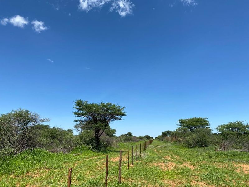 A view of the open landscape on the small holding, featuring natural vegetation and a boundary fence line.