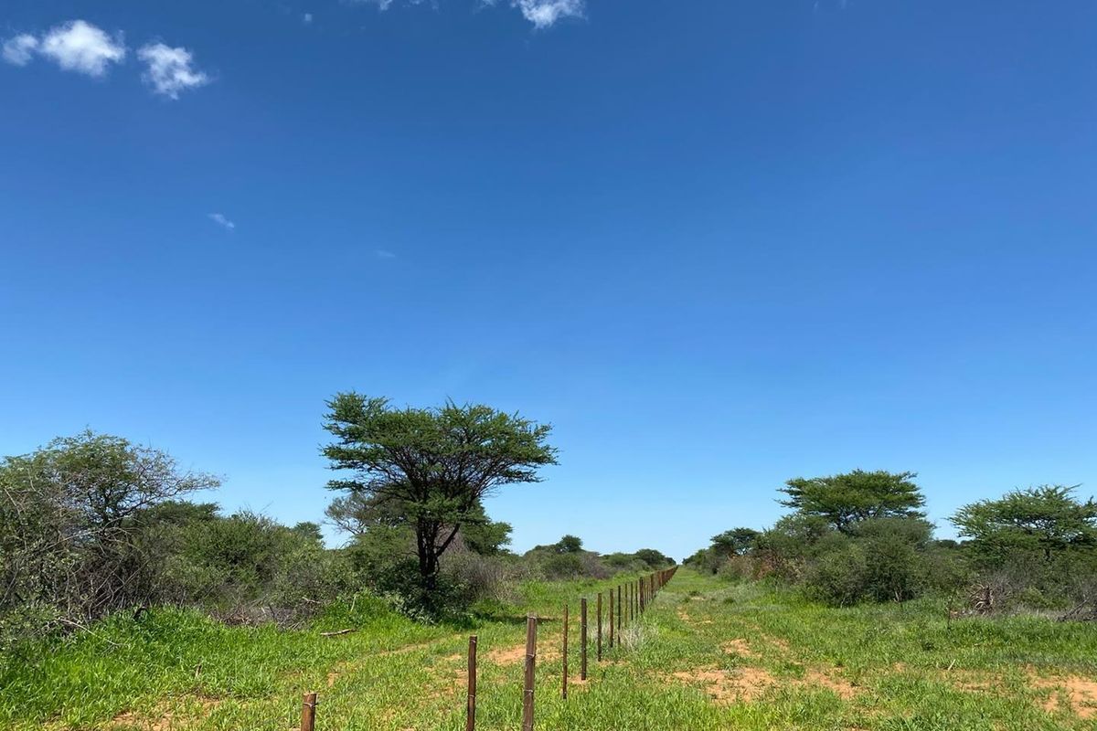 A view of the open landscape on the small holding, featuring natural vegetation and a boundary fence line.