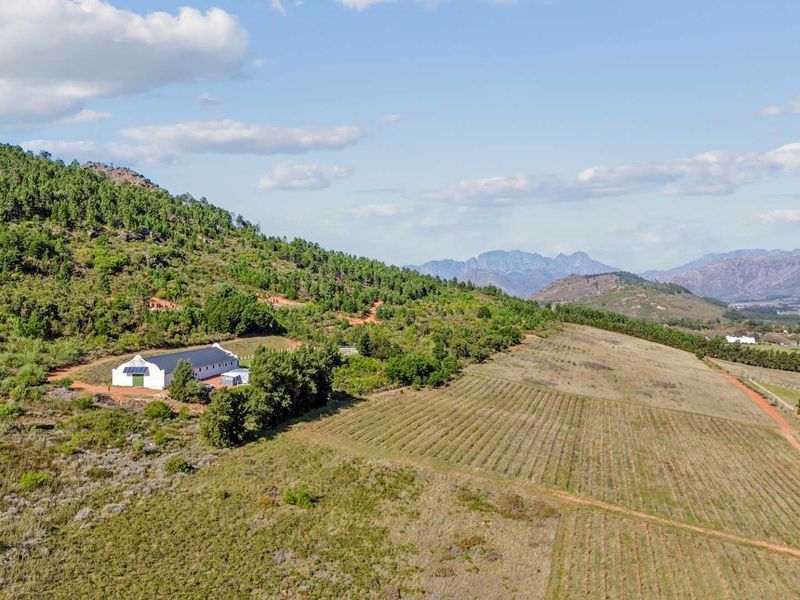 Farm with Opportunities in Drakenstein Rural - Photo 6