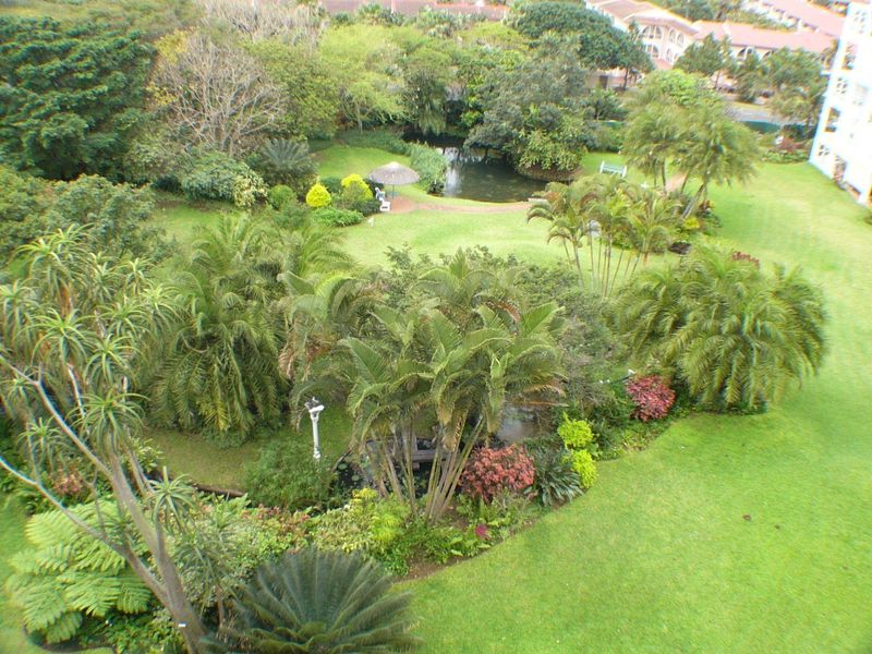 An elevated aerial view of a lush, well-maintained communal garden featuring mature palm trees, landscaped greenery, and a small pond.