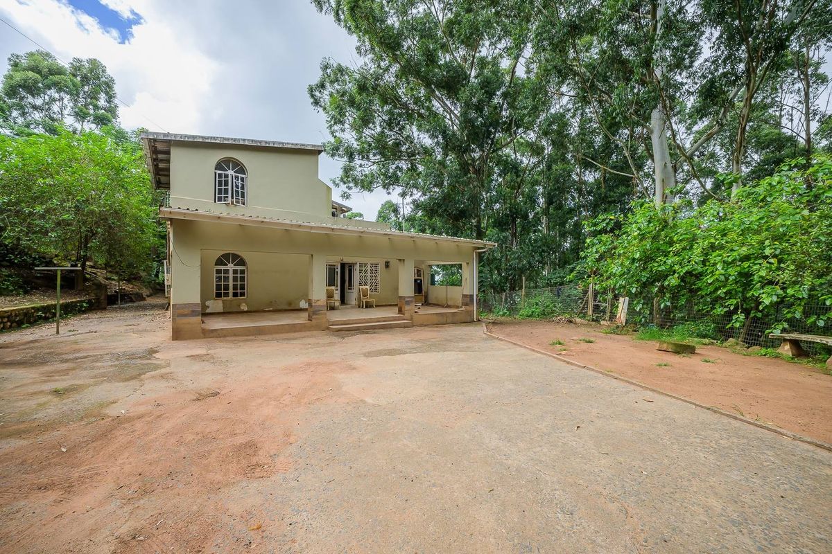 Rear view of the property featuring a covered patio, concrete driveway, and mature trees surrounding the residential structure.