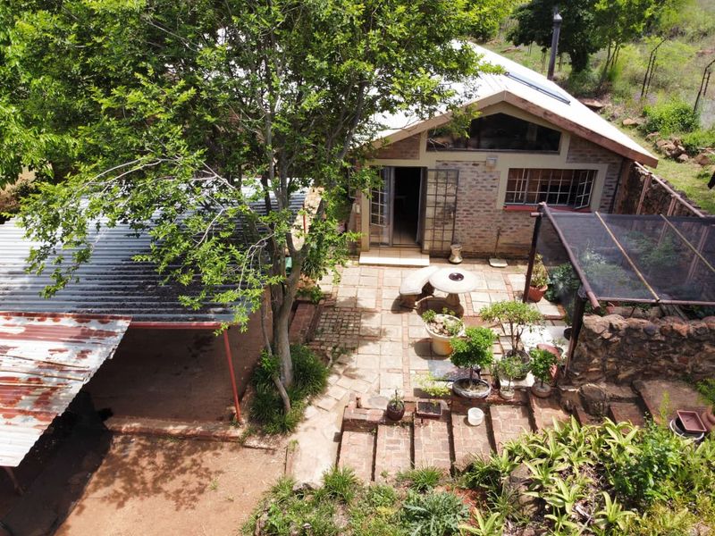Income-Generating Smallholding with Water Security and Development Potential - Photo 10