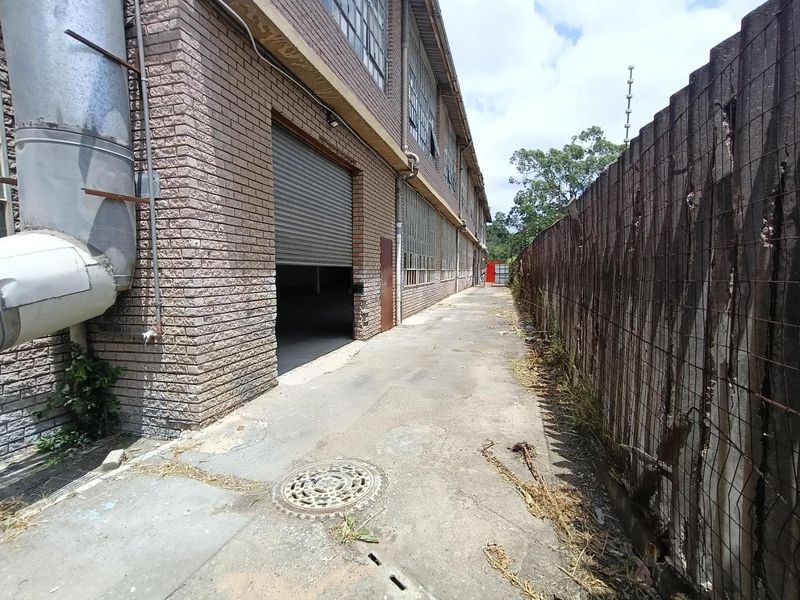 Warehouse | Stand alone |990m2 |  250 amps - Photo 3