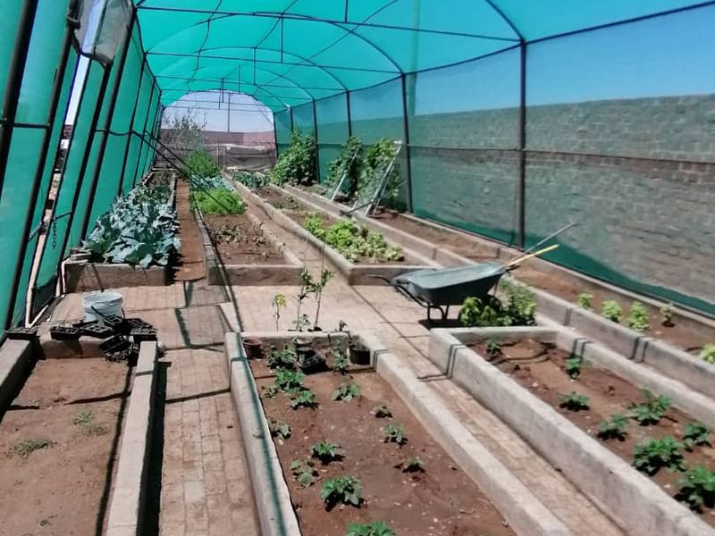 EXCEPTIONAL INDUSTRIAL PROPERTY FOR SALE IN MARIENTAL - Photo 6