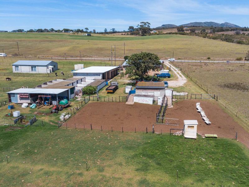 Dairy Farm for Sale, Eastern Cape - Photo 3