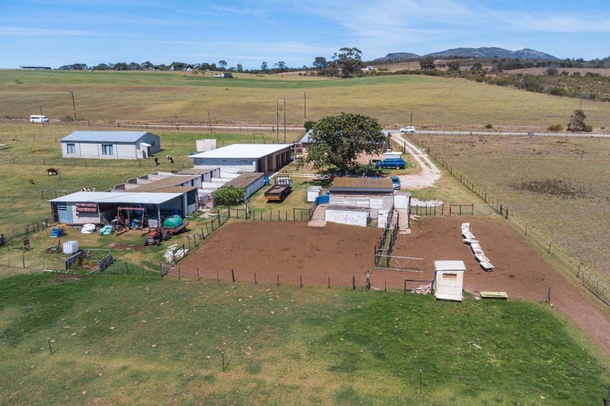 Dairy Farm for Sale, Eastern Cape - Photo 3